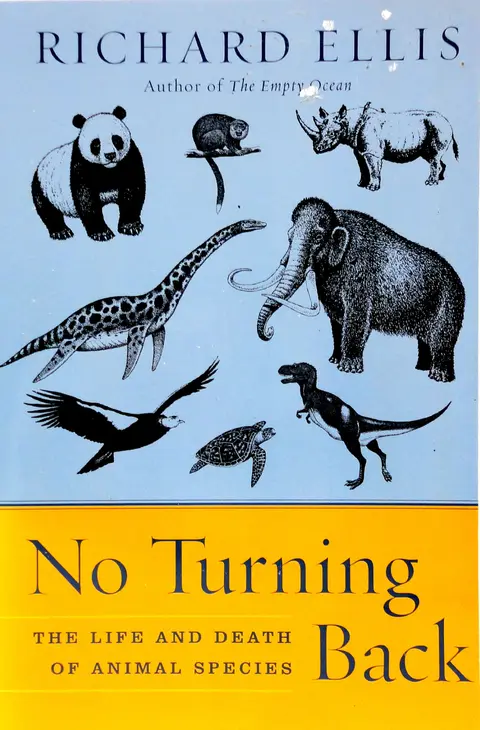 Cover of No Turning Back
