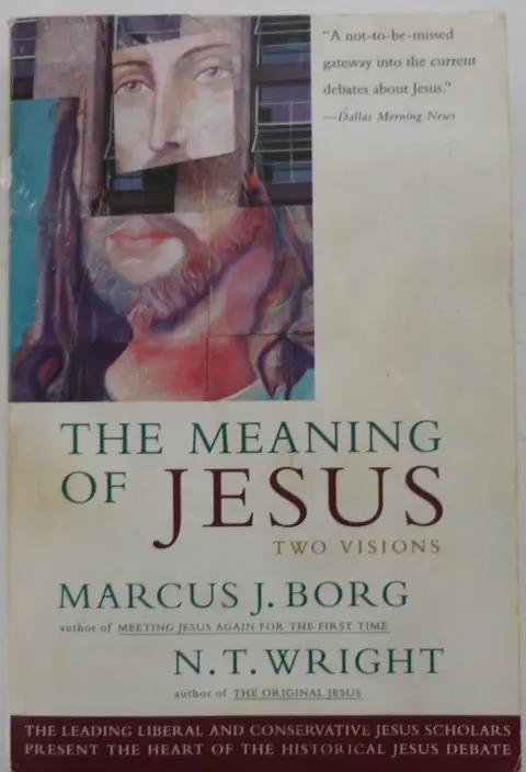 Cover of The Meaning of Jesus