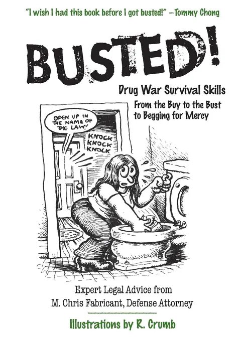 Cover of Busted!