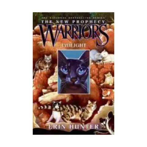 Cover of Warriors