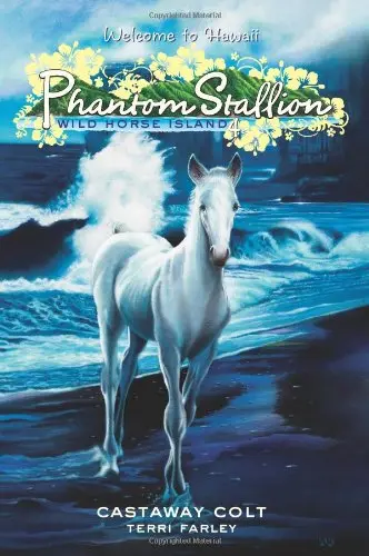 Cover of Castaway Colt