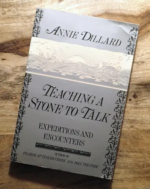 Cover of Teaching a Stone to Talk