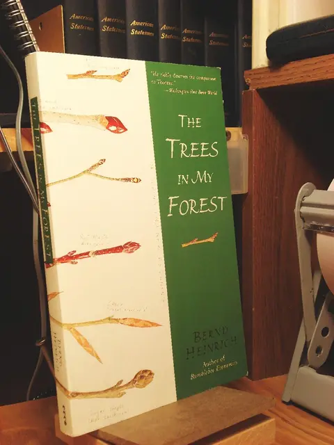 Cover of The Trees in My Forest
