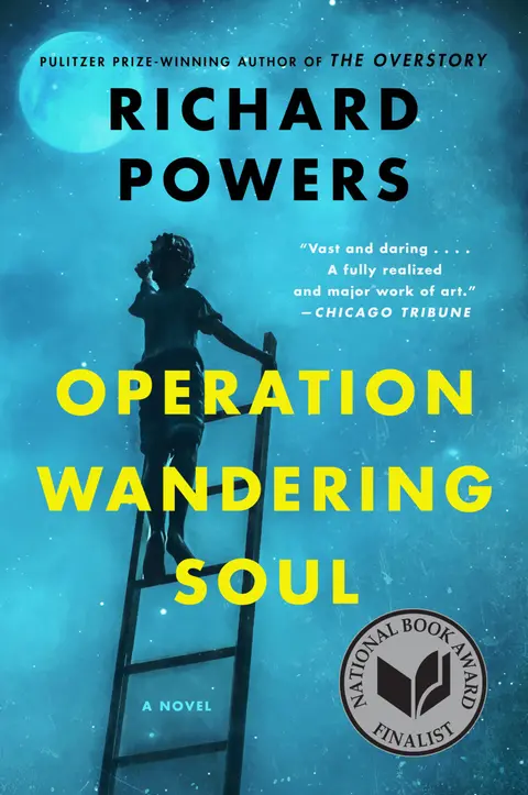 Cover of Operation Wandering Soul