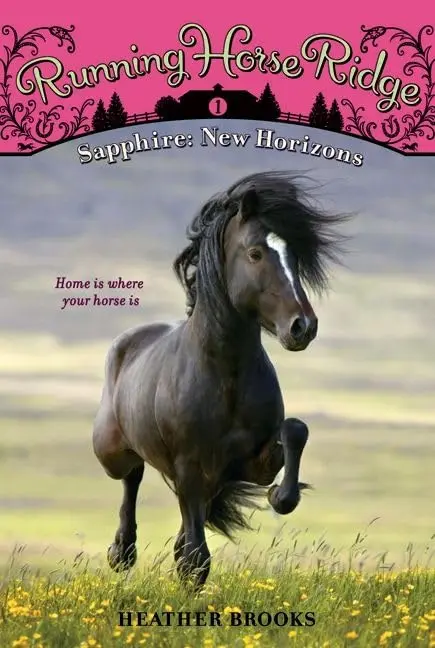 Cover of Sapphire