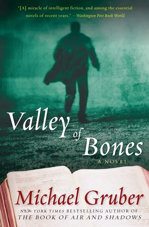 Cover of Valley of Bones