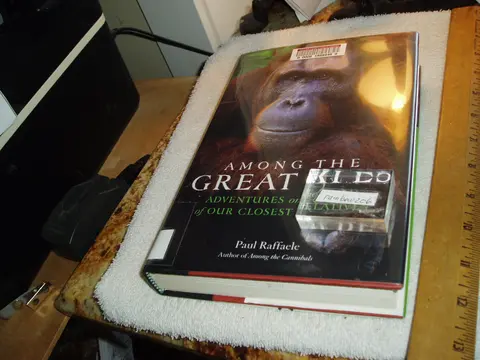 Cover of Among the Great Apes