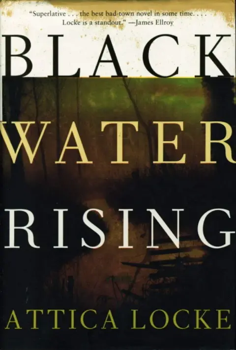 Cover of Black Water Rising