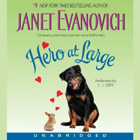 Cover of Hero at Large CD