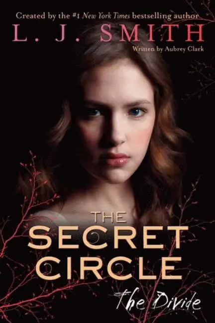 Cover of The Divide