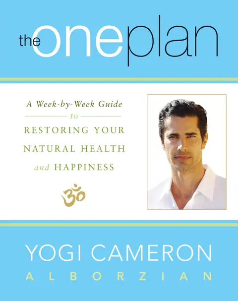 Cover of The One Plan