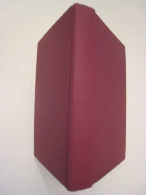 Cover of Faking Normal