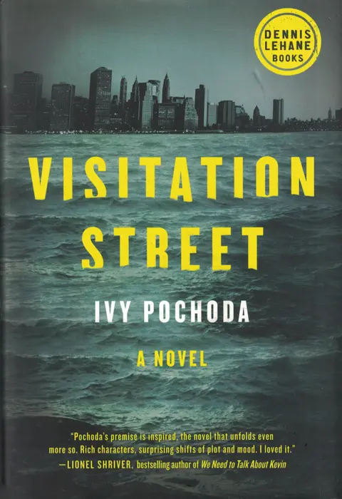 Cover of Visitation Street