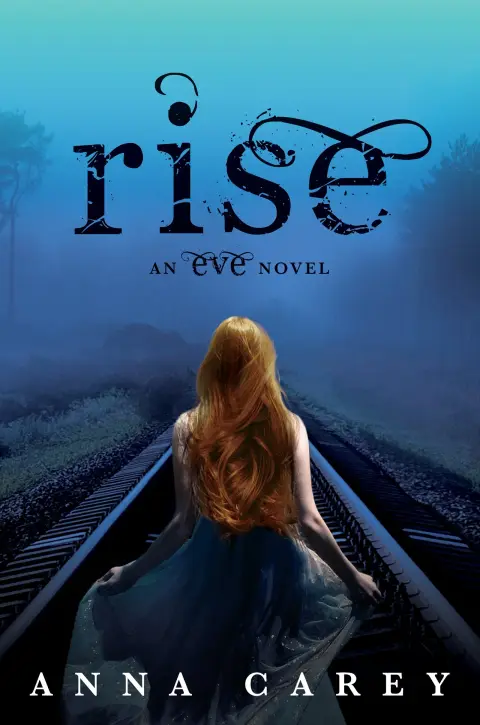 Cover of Rise