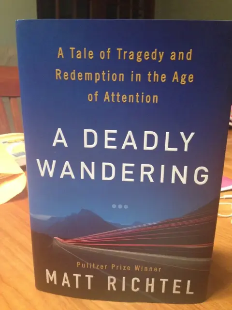 Cover of A Deadly Wandering