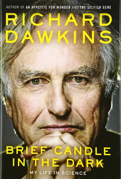 Cover of Brief Candle in the Dark