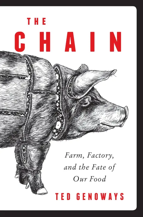 Cover of The Chain