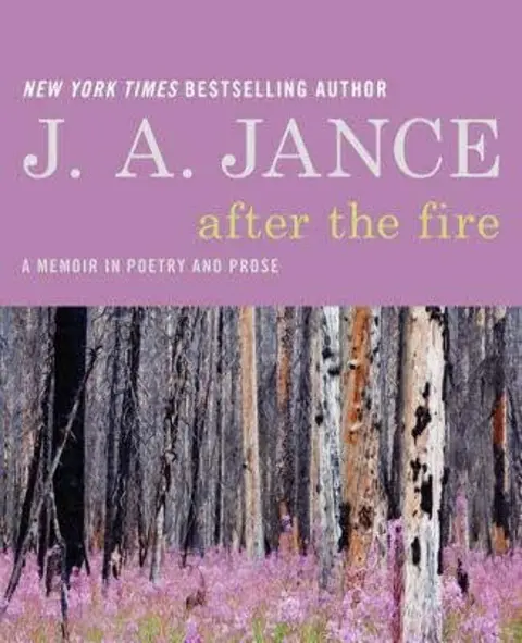 Cover of After the Fire