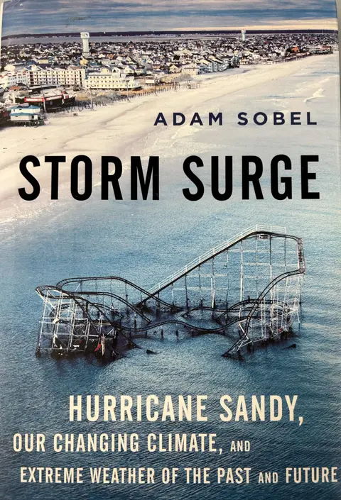 Cover of Storm Surge