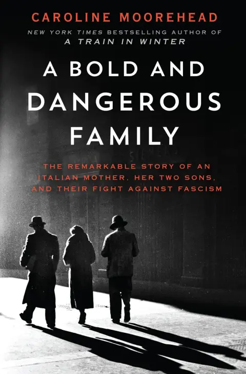 Cover of A Bold and Dangerous Family