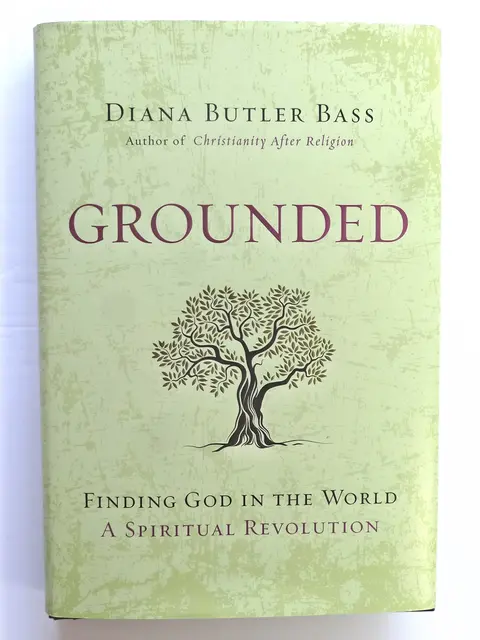 Cover of Grounded