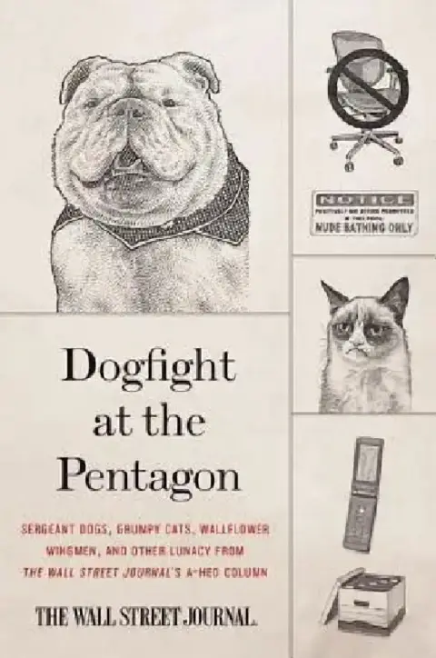 Cover of Dogfight at the Pentagon