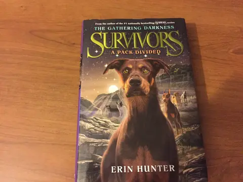 Cover of A Pack Divided