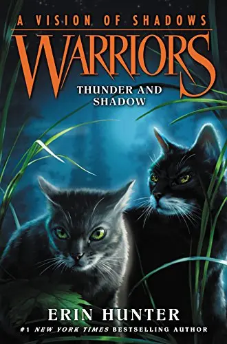 Cover of Warriors