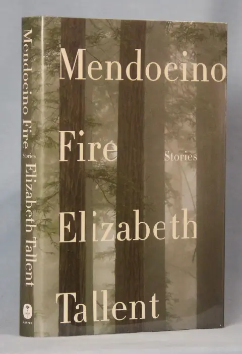 Cover of Mendocino Fire