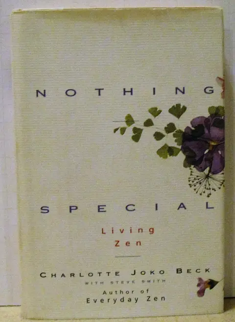 Cover of Nothing Special
