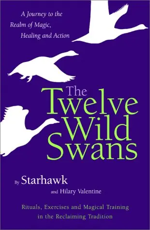 Cover of The Twelve Wild Swans