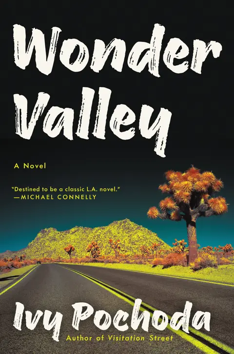 Cover of Wonder Valley