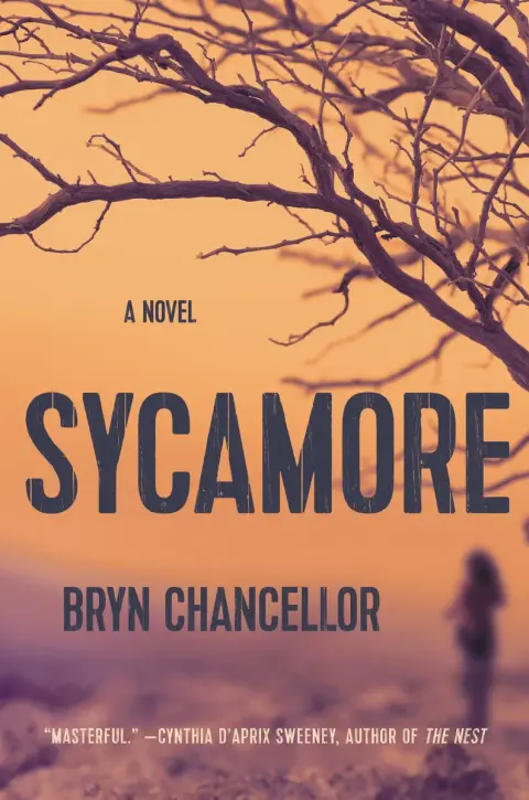 Cover of Sycamore