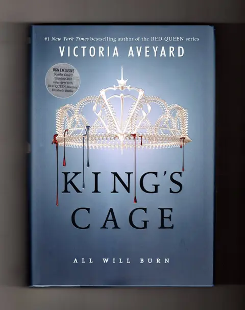 Cover of King's Cage