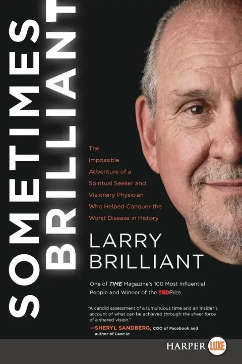 Cover of Sometimes Brilliant
