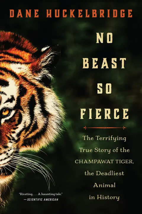 Cover of No Beast So Fierce