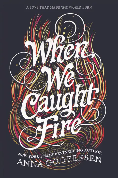 Cover of When We Caught Fire