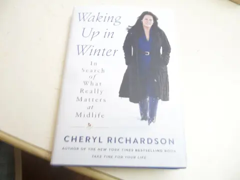 Cover of Waking up in Winter