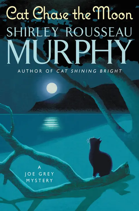 Cover of Cat Chase the Moon