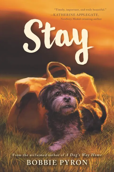 Cover of Stay