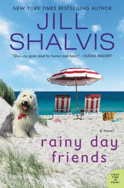 Cover of Rainy Day Friends