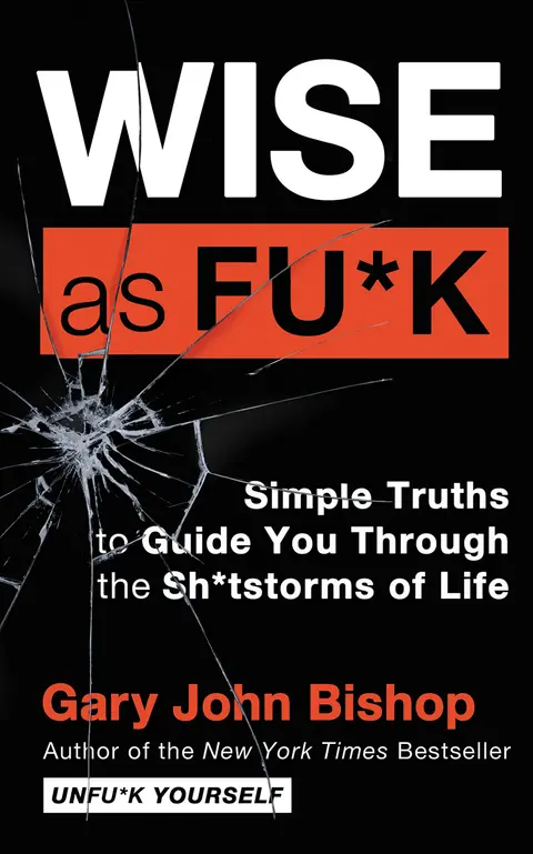 Cover of Wise as Fu K