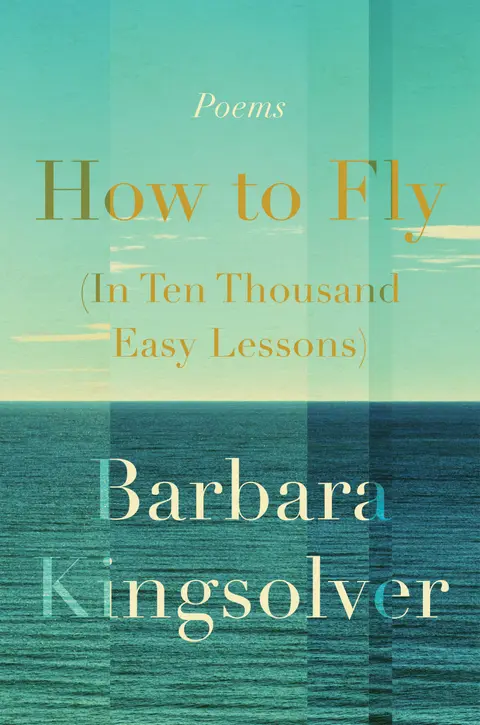 Cover of How to Fly in Ten Thousand Easy Lessons