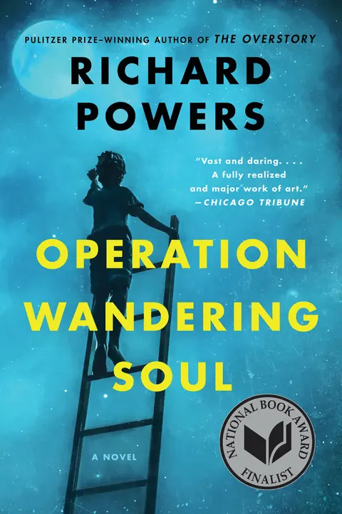 Cover of Operation Wandering Soul
