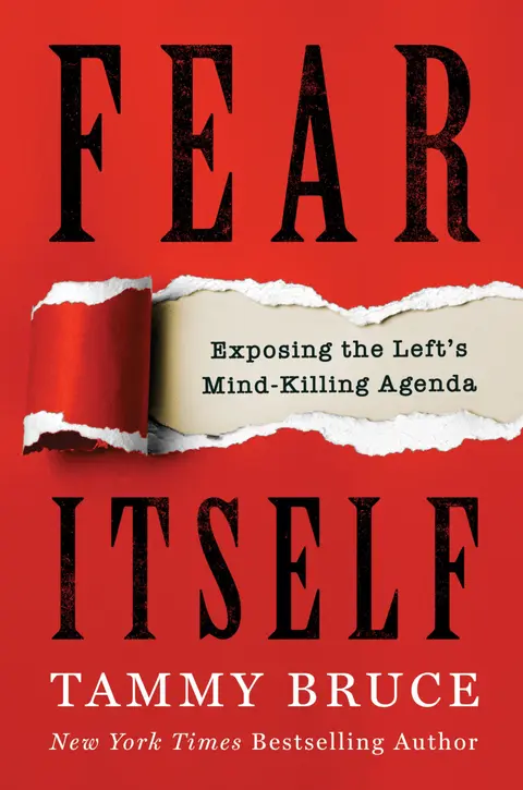 Cover of Fear Itself