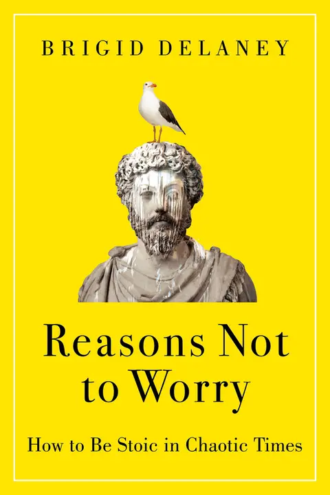Cover of Reasons Not to Worry