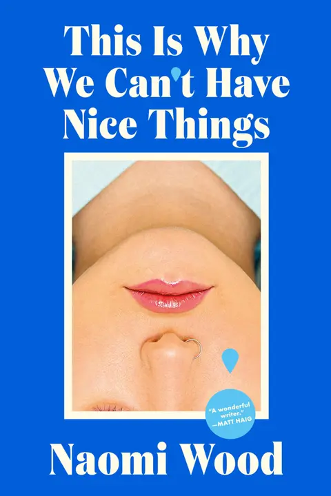 Cover of This Is Why We Can’t Have Nice Things