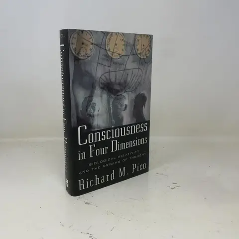 Cover of Consciousness in Four Dimensions