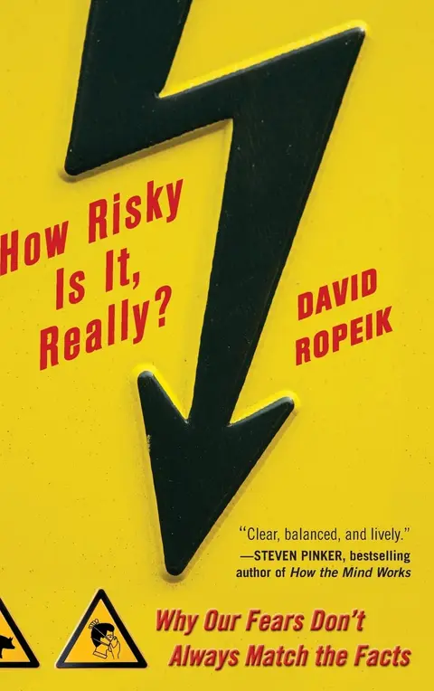 Cover of How Risky Is It, Really?