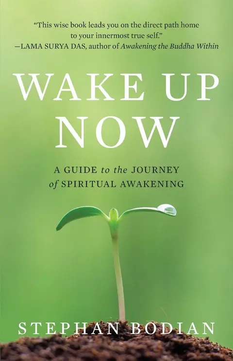 Cover of Wake up Now